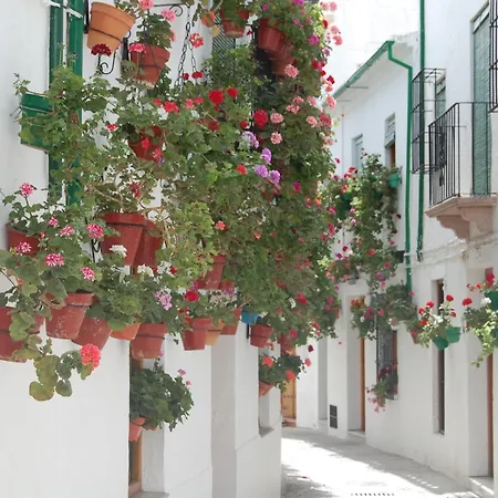 Casa Baños de la Villa-3